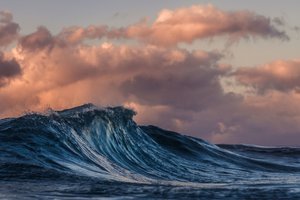 DON’T MISS DR. JAY GREENSTEIN AT FCA SE REGIONAL 2019!