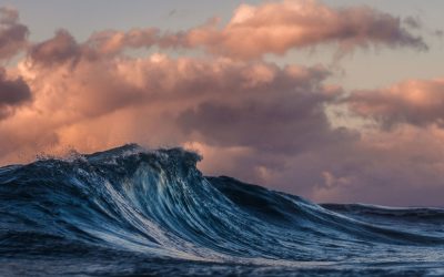 DON’T MISS DR. JAY GREENSTEIN AT FCA SE REGIONAL 2019!