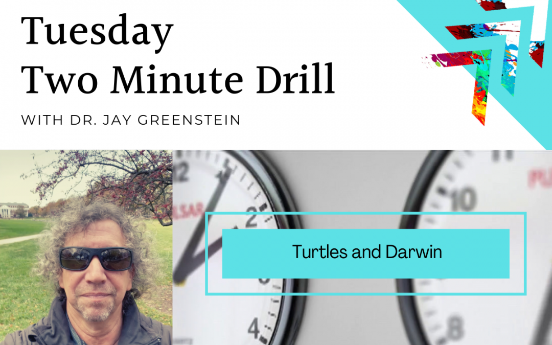 TMD: Turtles and Darwin