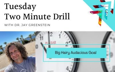 TMD: Big Hairy Audacious Goal